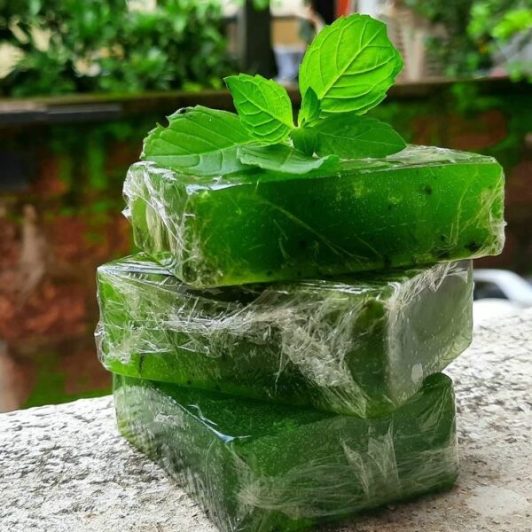 With the antibacterial and cleansing properties of… SAVON ALOE VERA